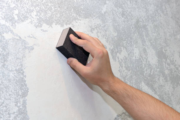 Best Dehumidification Services  in Lynchburg, OH