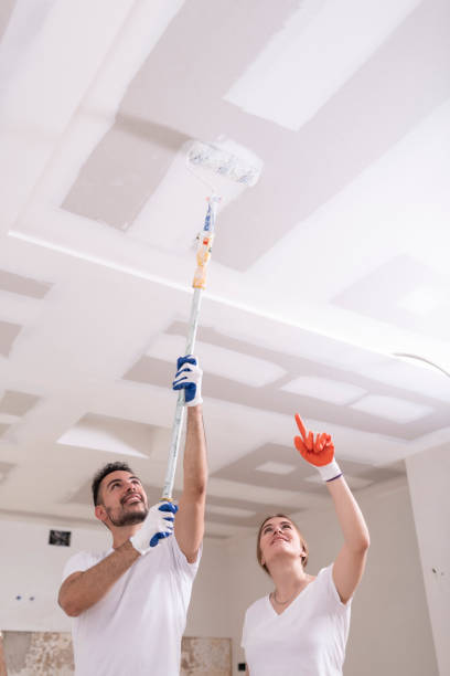 Best Mold Remediation for Healthcare Facilities  in Lynchburg, OH