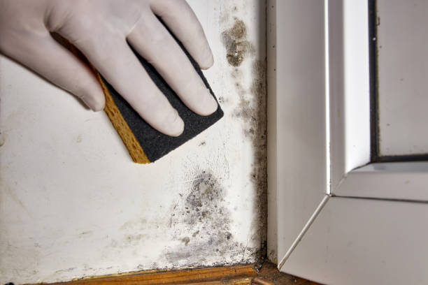 Best Post-Remediation Verification Testing  in Lynchburg, OH
