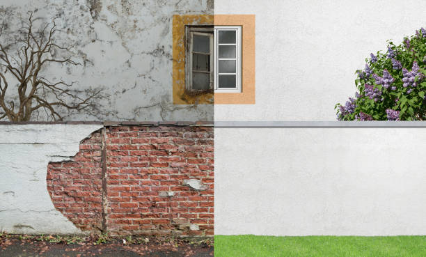 Lynchburg, OH Mold Removal Company