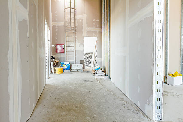 Best Environmental Consulting for Mold Prevention  in Lynchburg, OH